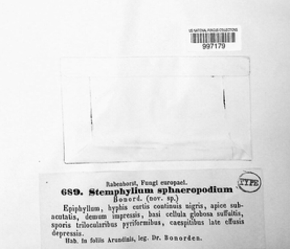 Stemphylium sphaeropodium image